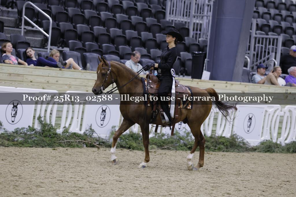 Proof 25R13_02588