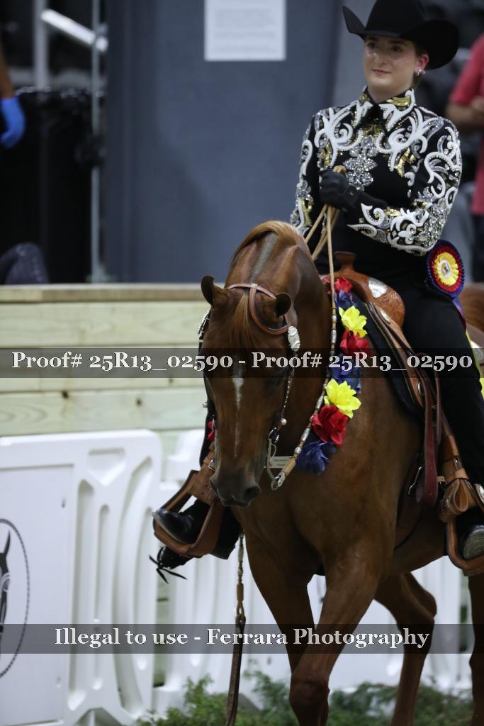 Proof 25R13_02590