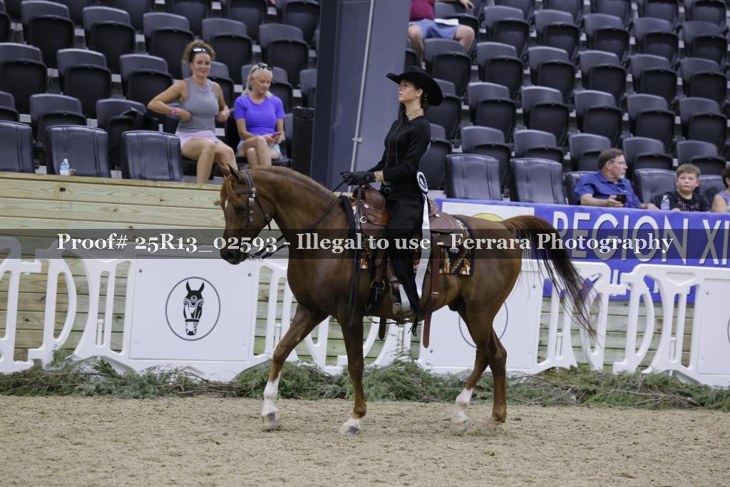 Proof 25R13_02593