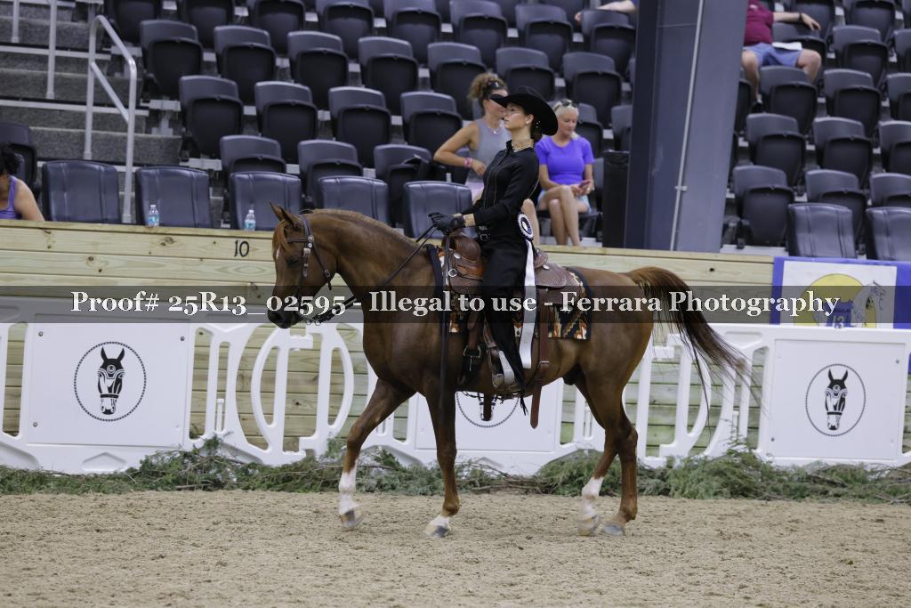 Proof 25R13_02595