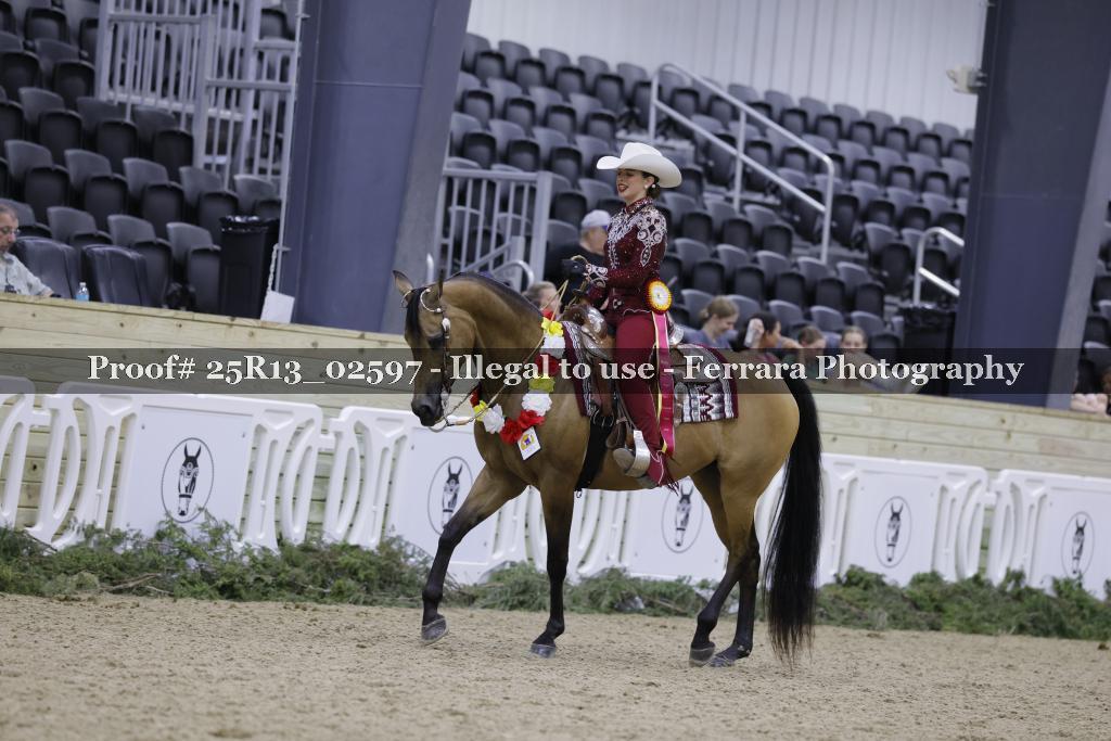 Proof 25R13_02597