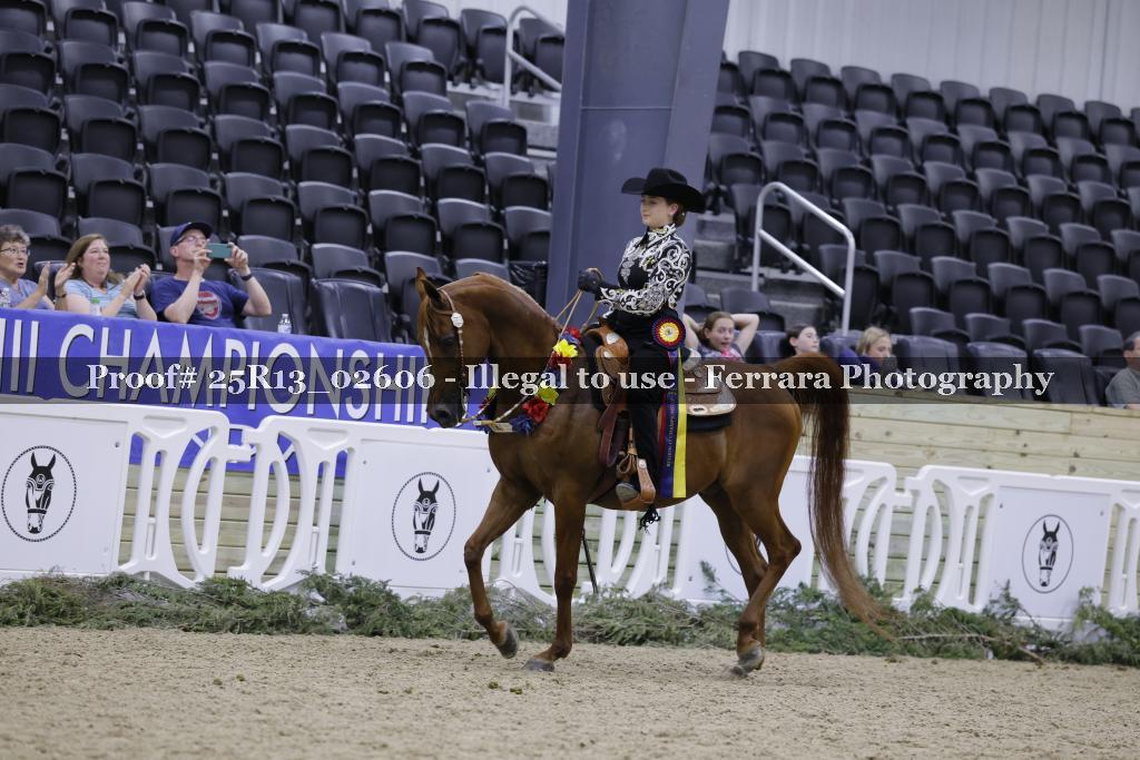 Proof 25R13_02606
