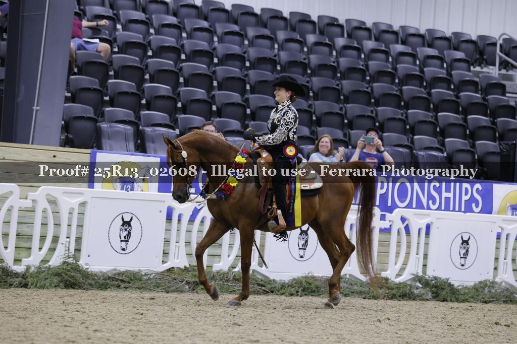 Proof 25R13_02608