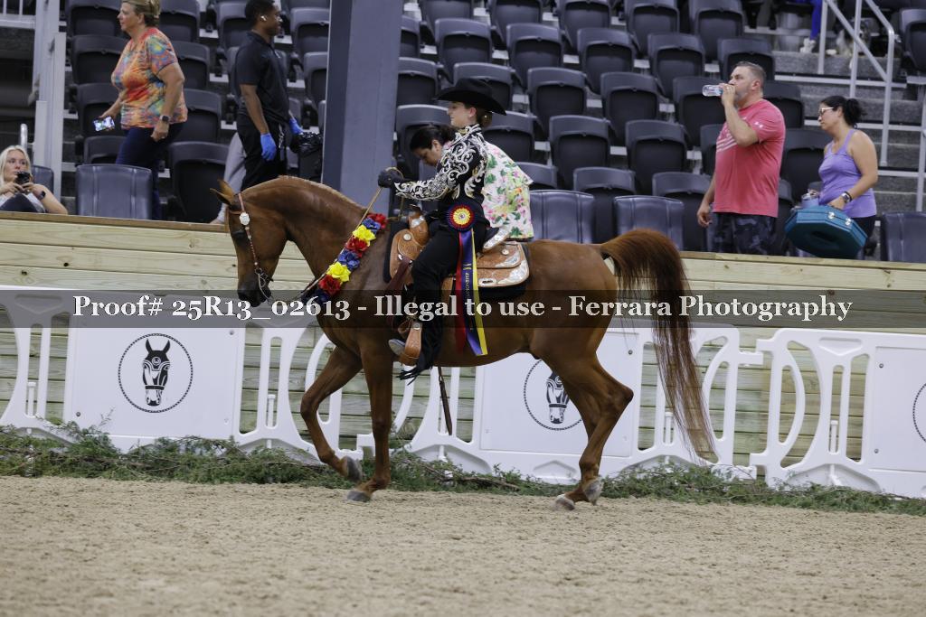 Proof 25R13_02613