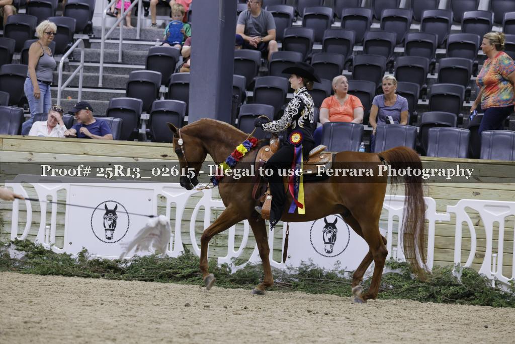 Proof 25R13_02615