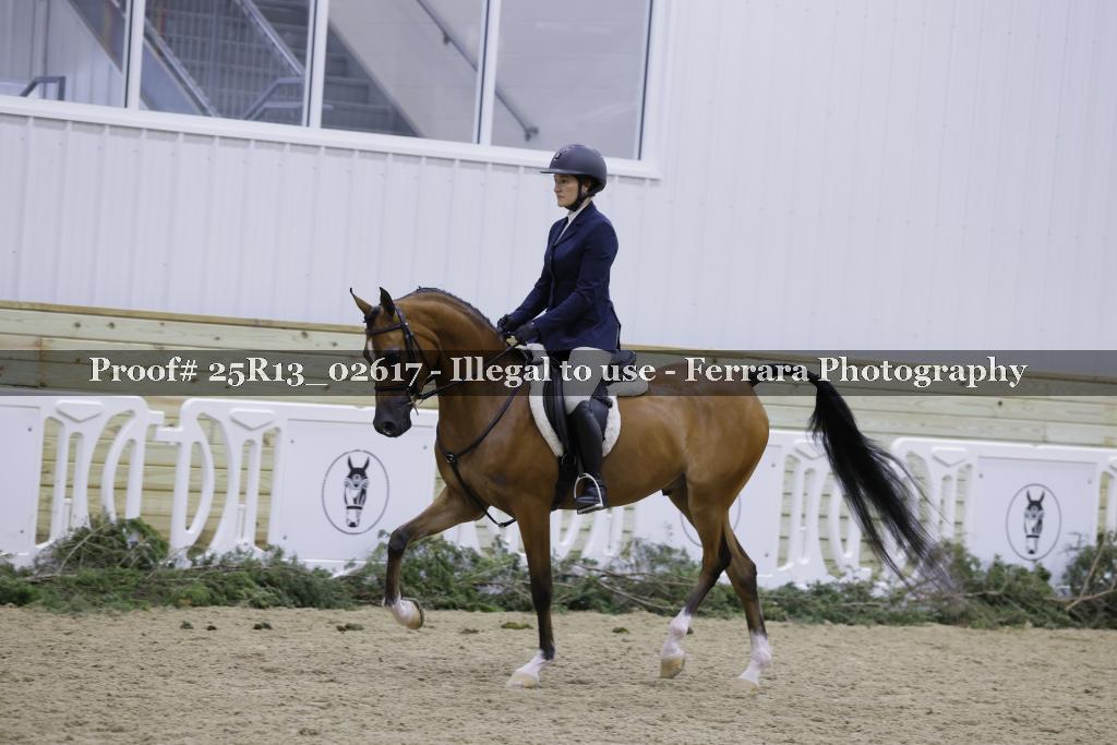 Proof 25R13_02617