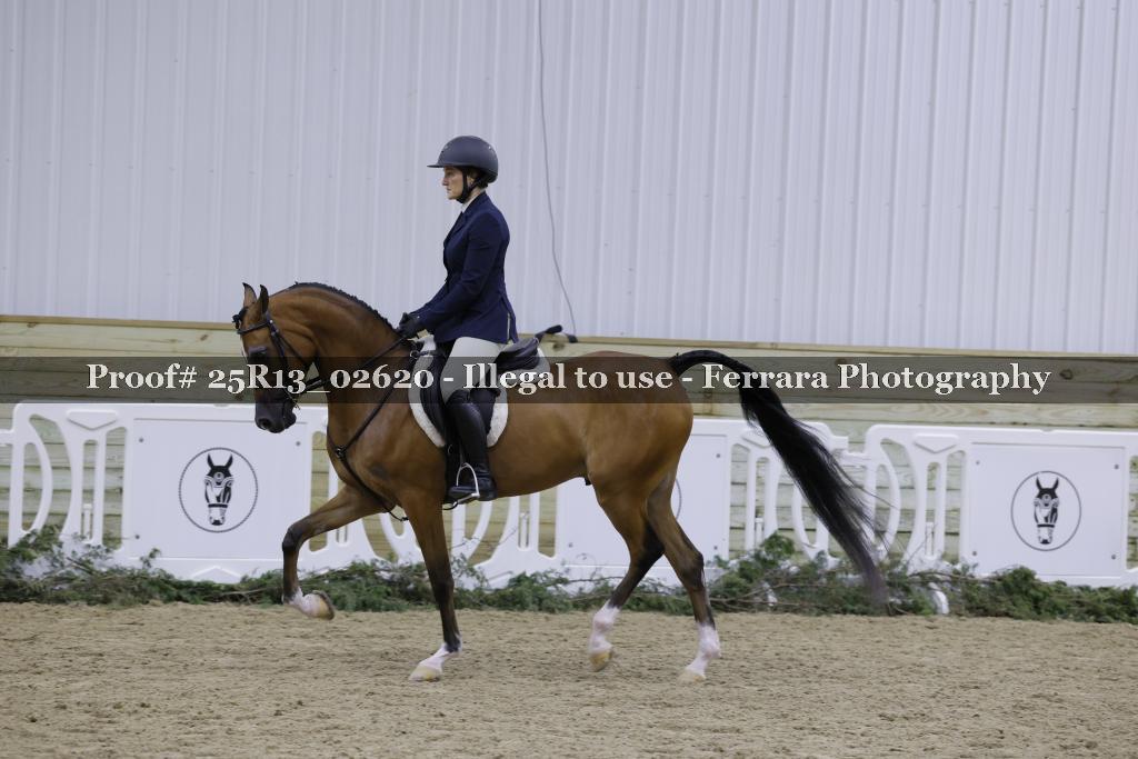 Proof 25R13_02620