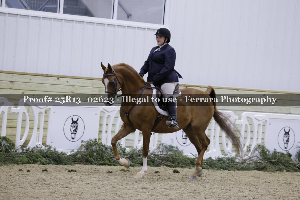 Proof 25R13_02623
