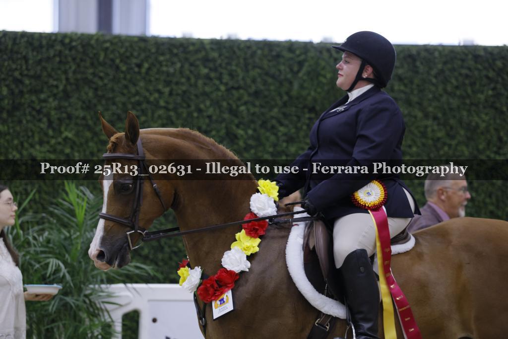 Proof 25R13_02631