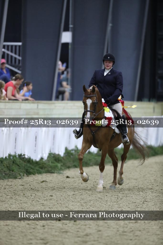 Proof 25R13_02639