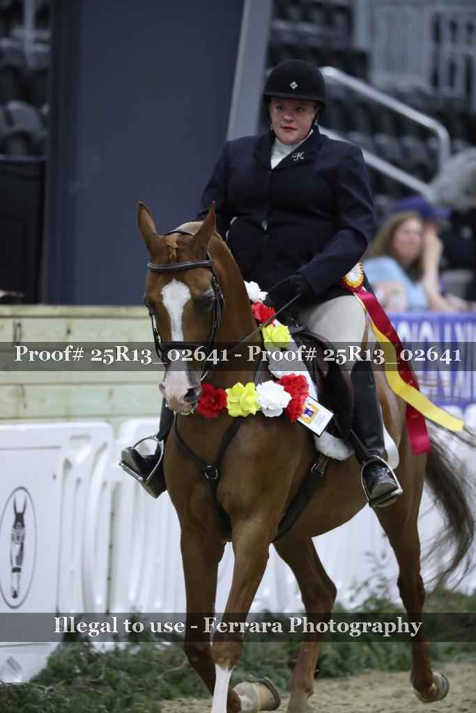 Proof 25R13_02641
