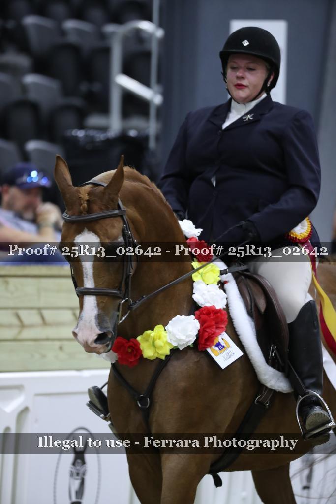 Proof 25R13_02642