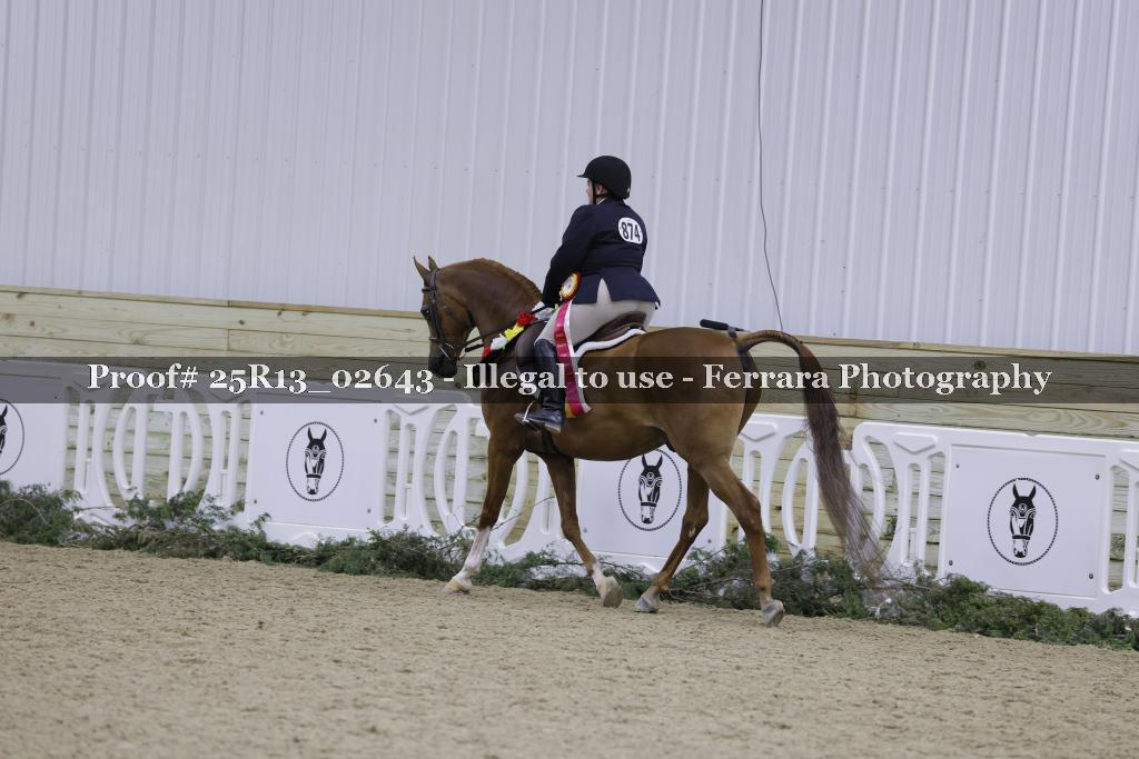 Proof 25R13_02643