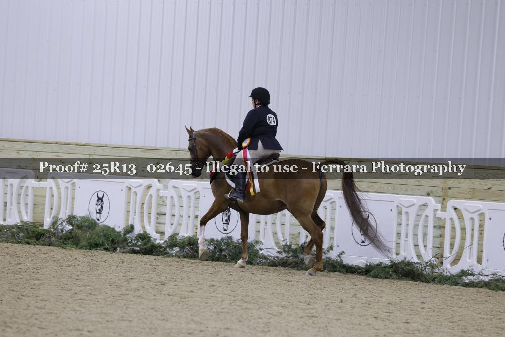 Proof 25R13_02645