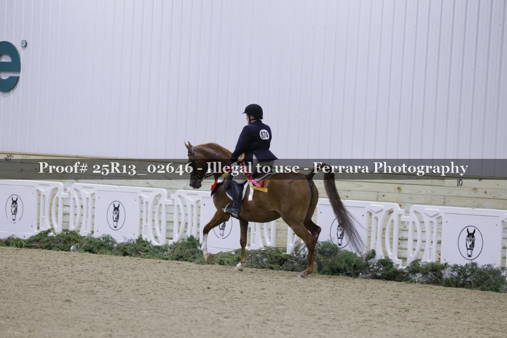 Proof 25R13_02646