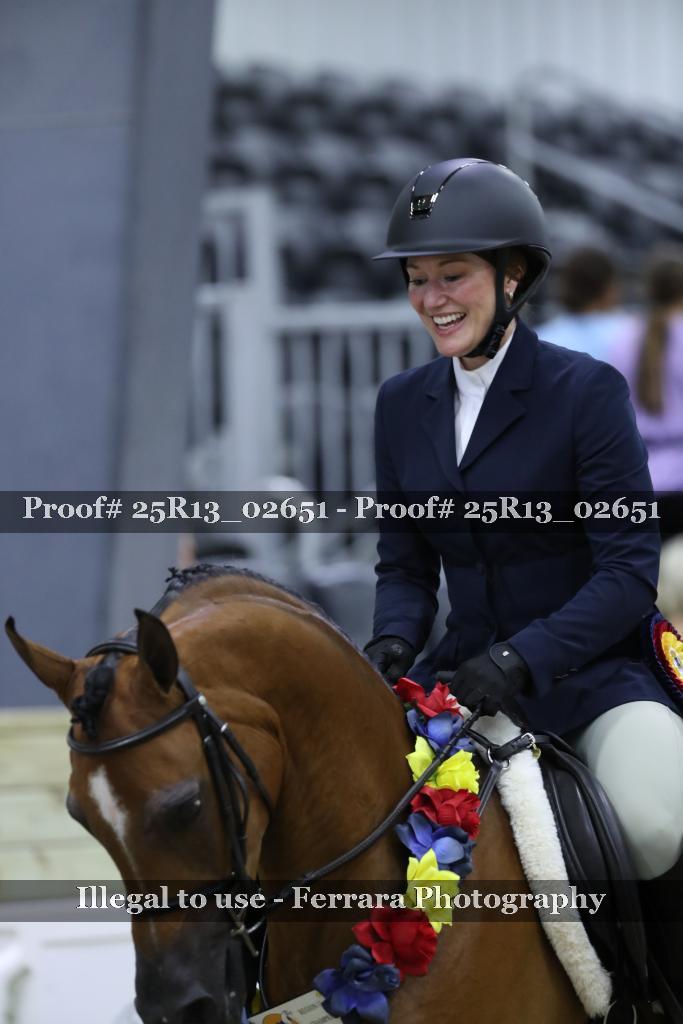 Proof 25R13_02651