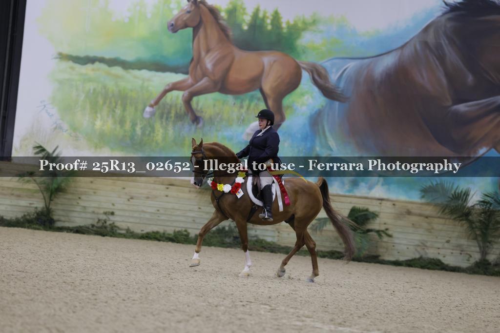 Proof 25R13_02652