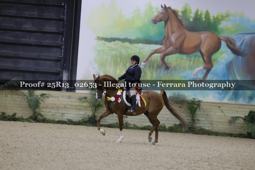 Proof 25R13_02653