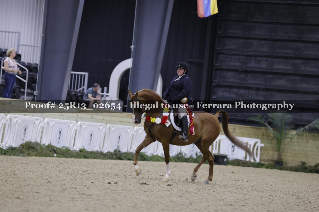 Proof 25R13_02654