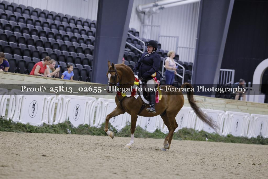 Proof 25R13_02655
