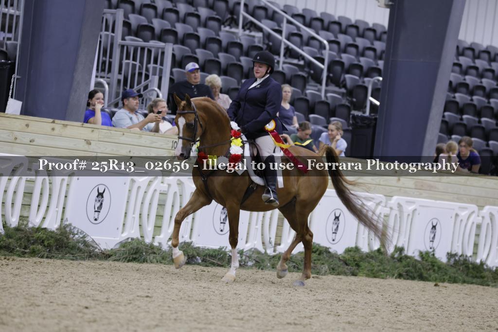Proof 25R13_02656