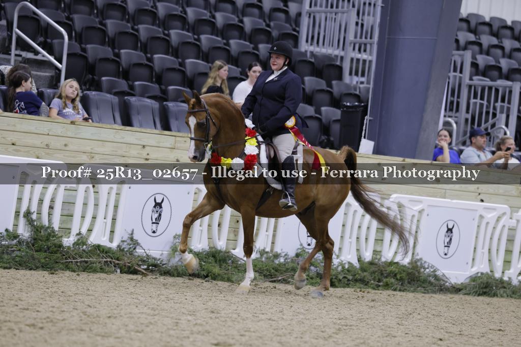 Proof 25R13_02657