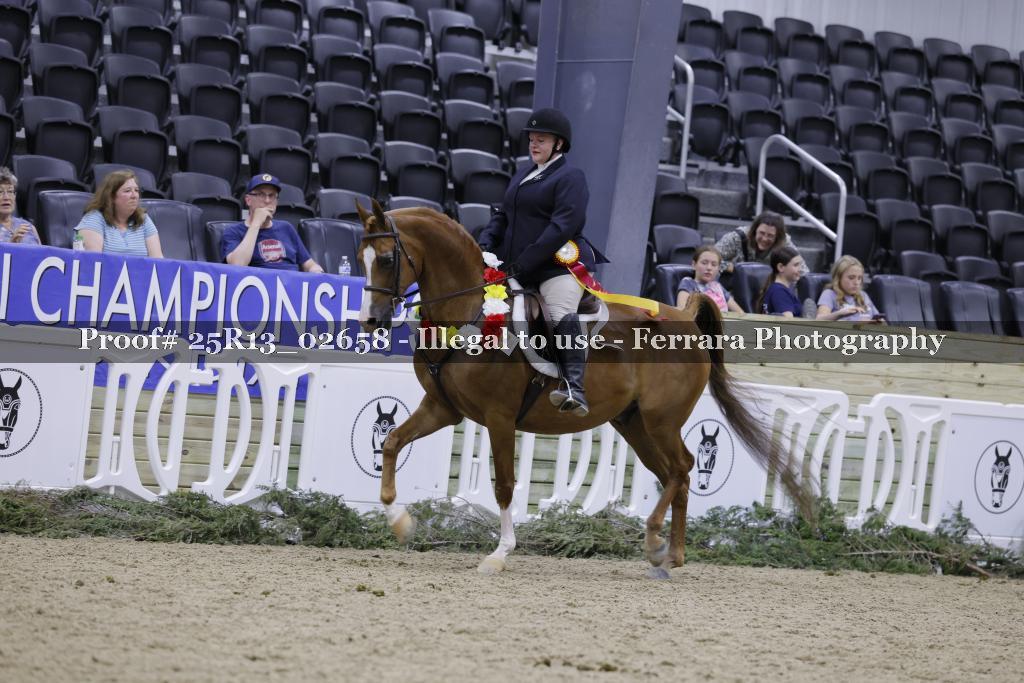 Proof 25R13_02658