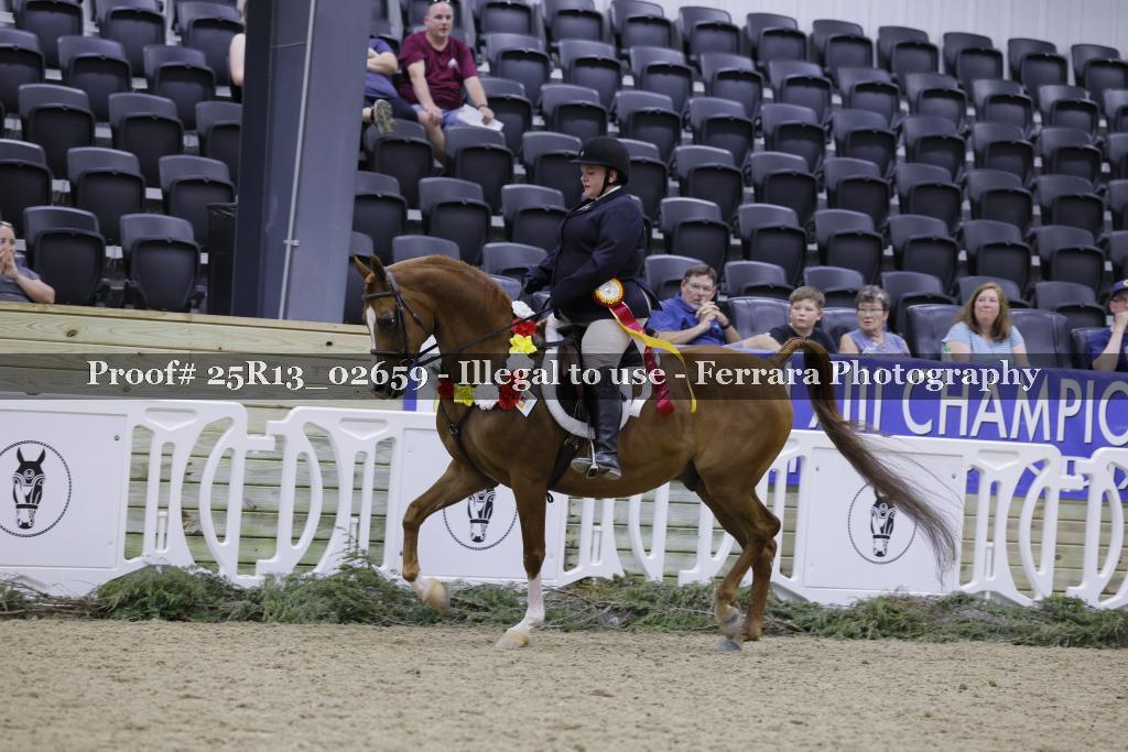 Proof 25R13_02659