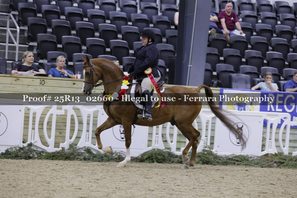 Proof 25R13_02660