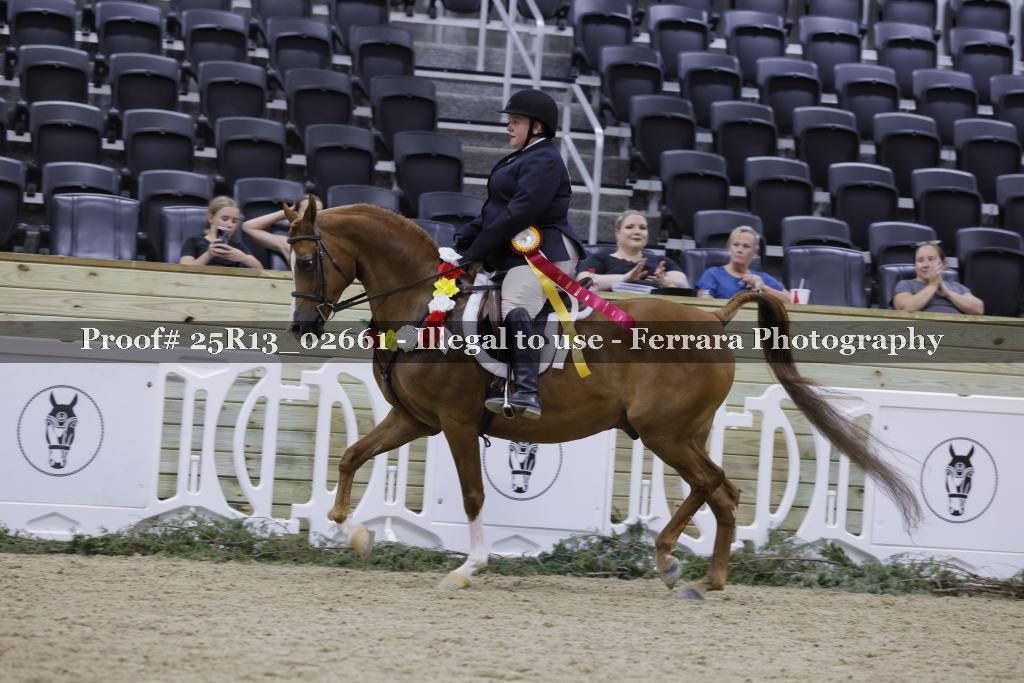 Proof 25R13_02661