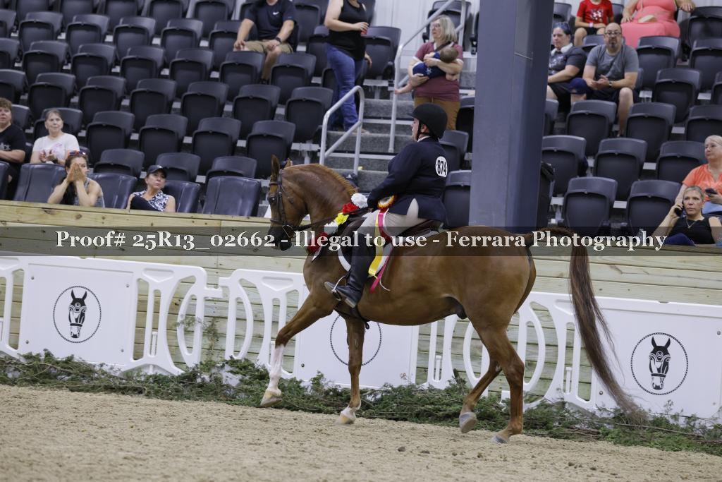 Proof 25R13_02662