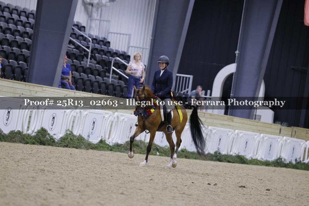 Proof 25R13_02663