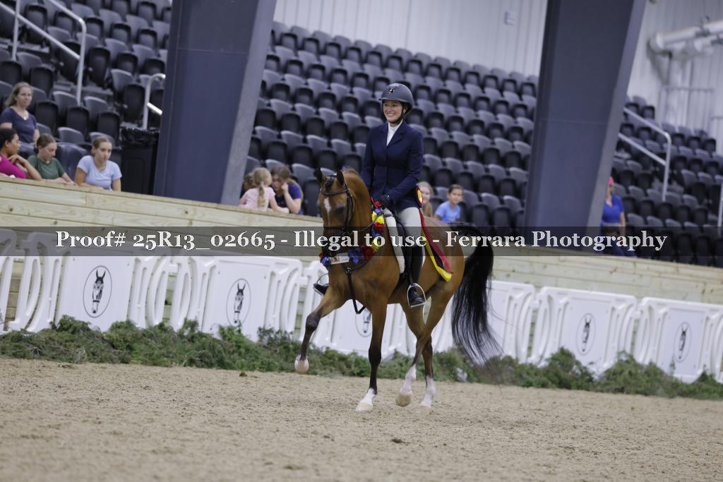 Proof 25R13_02665