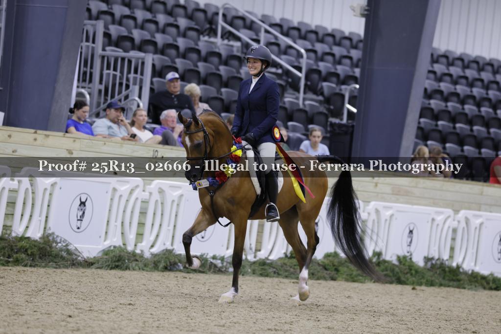 Proof 25R13_02666
