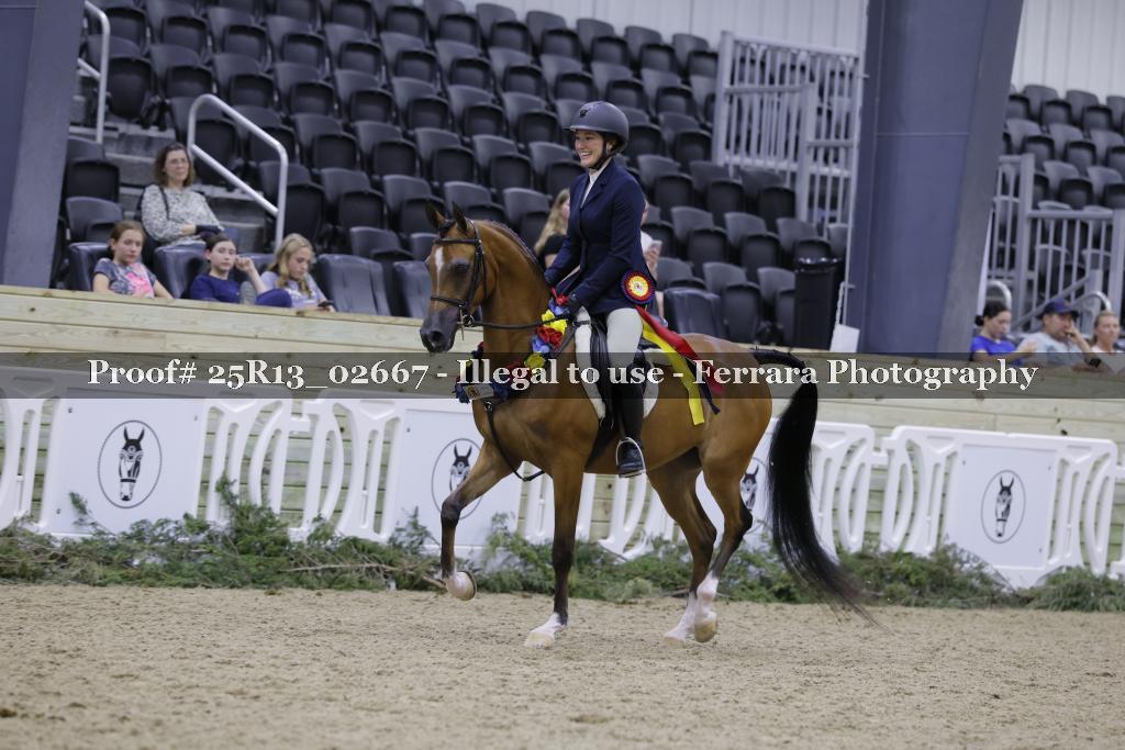Proof 25R13_02667