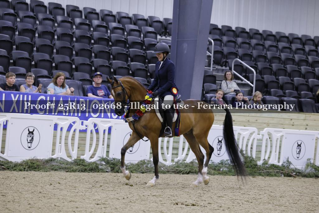 Proof 25R13_02668