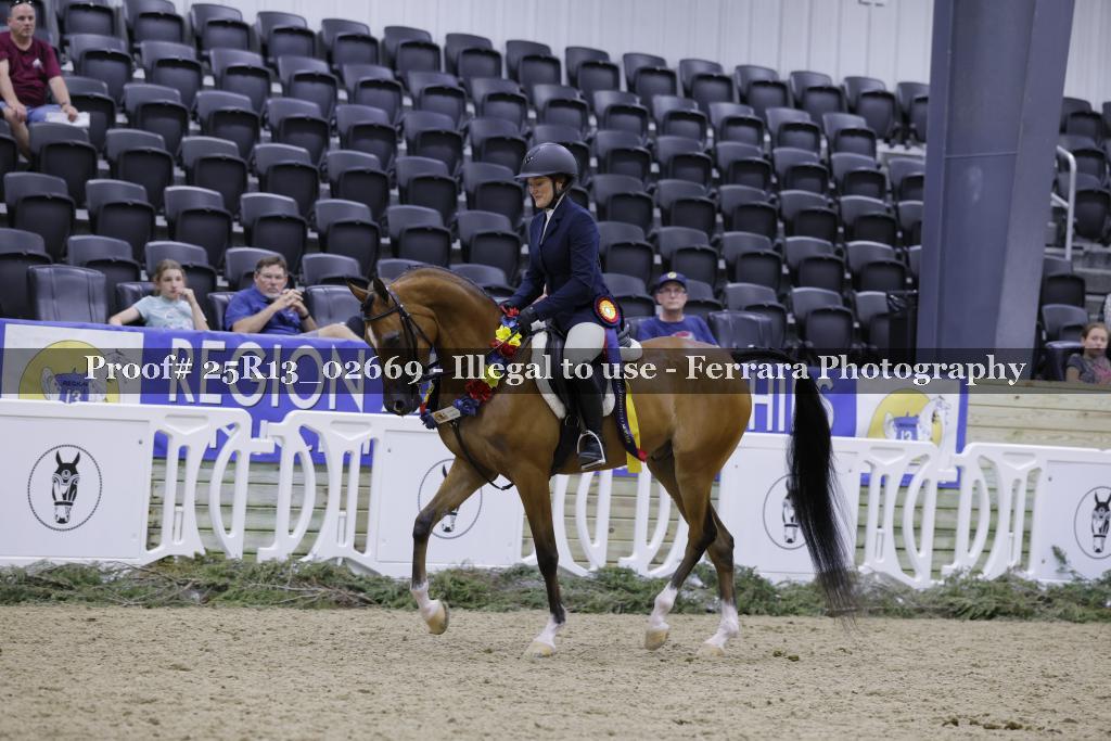 Proof 25R13_02669