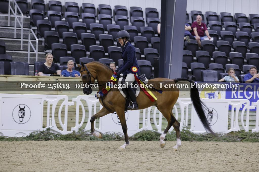 Proof 25R13_02670
