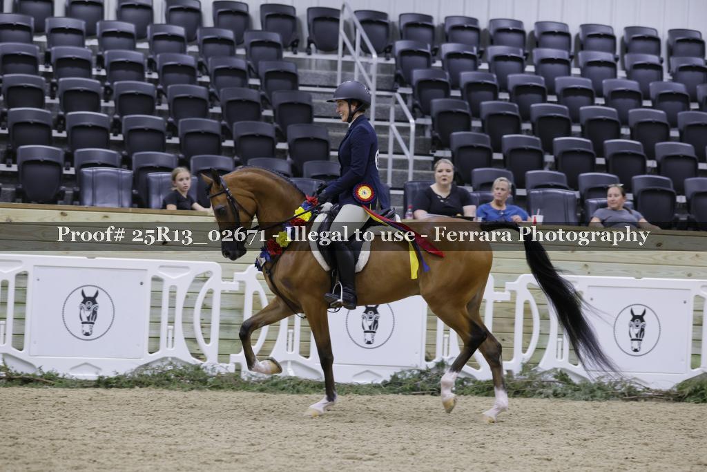 Proof 25R13_02671