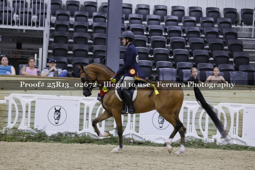Proof 25R13_02672