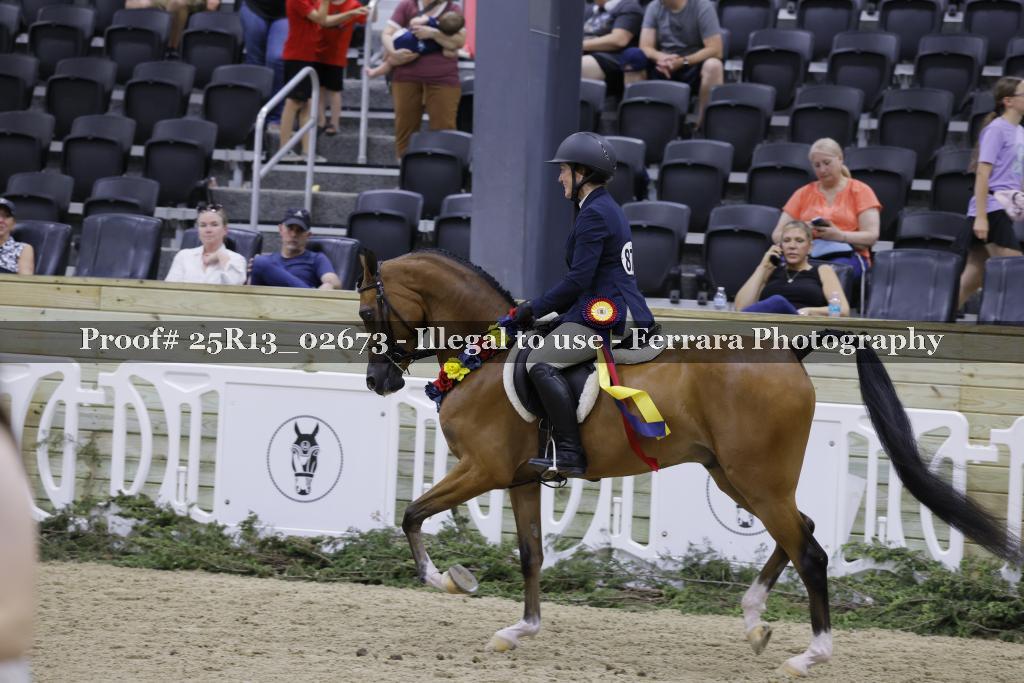 Proof 25R13_02673