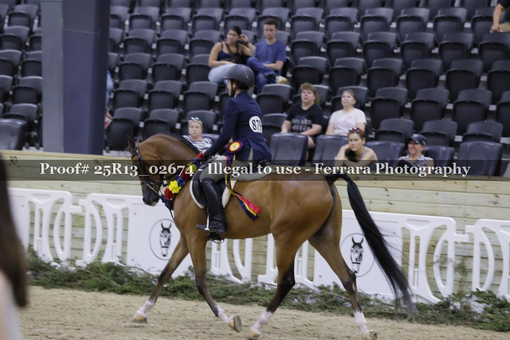 Proof 25R13_02674