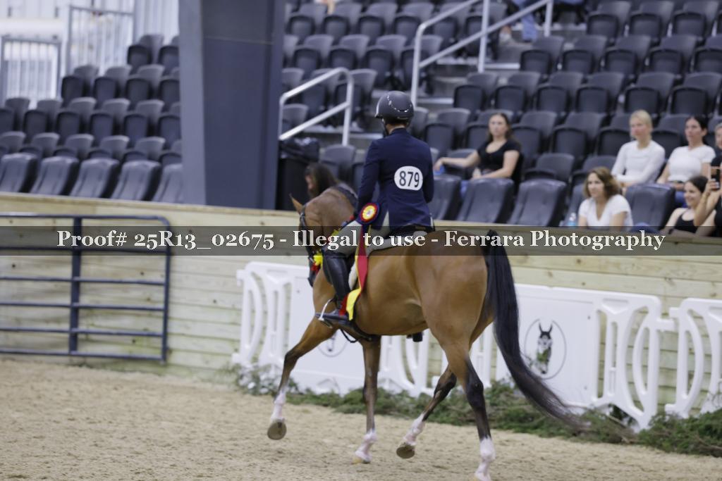 Proof 25R13_02675