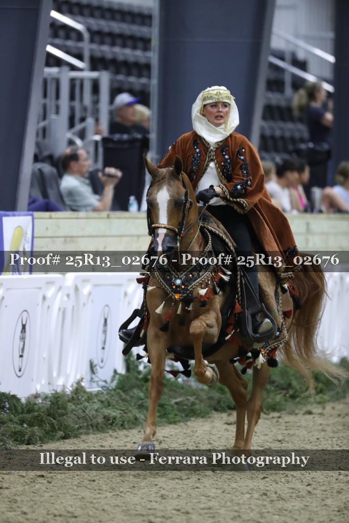 Proof 25R13_02676