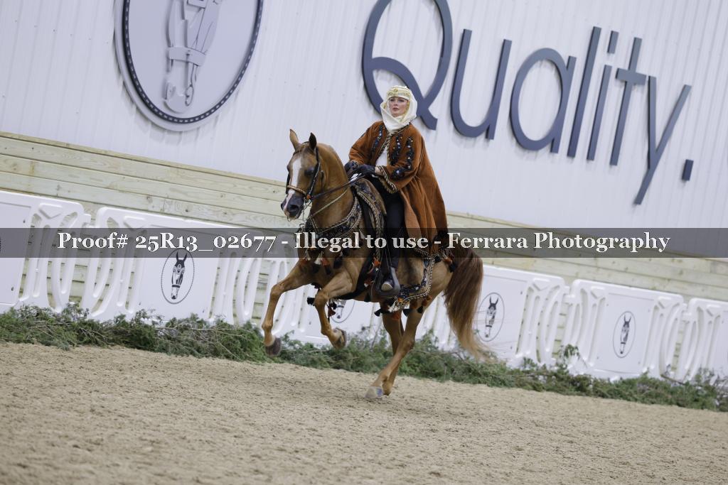 Proof 25R13_02677
