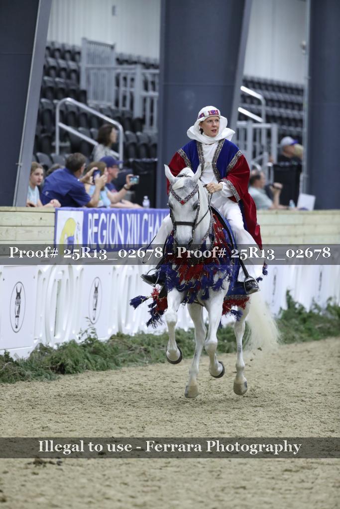 Proof 25R13_02678