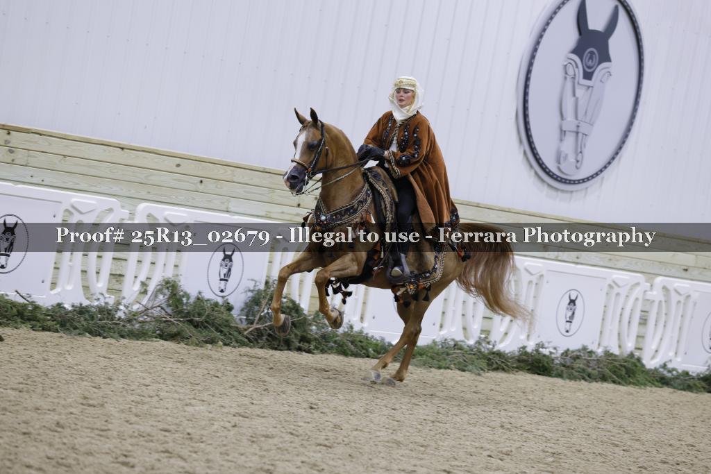 Proof 25R13_02679