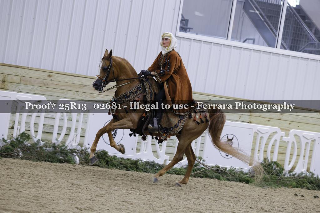 Proof 25R13_02681