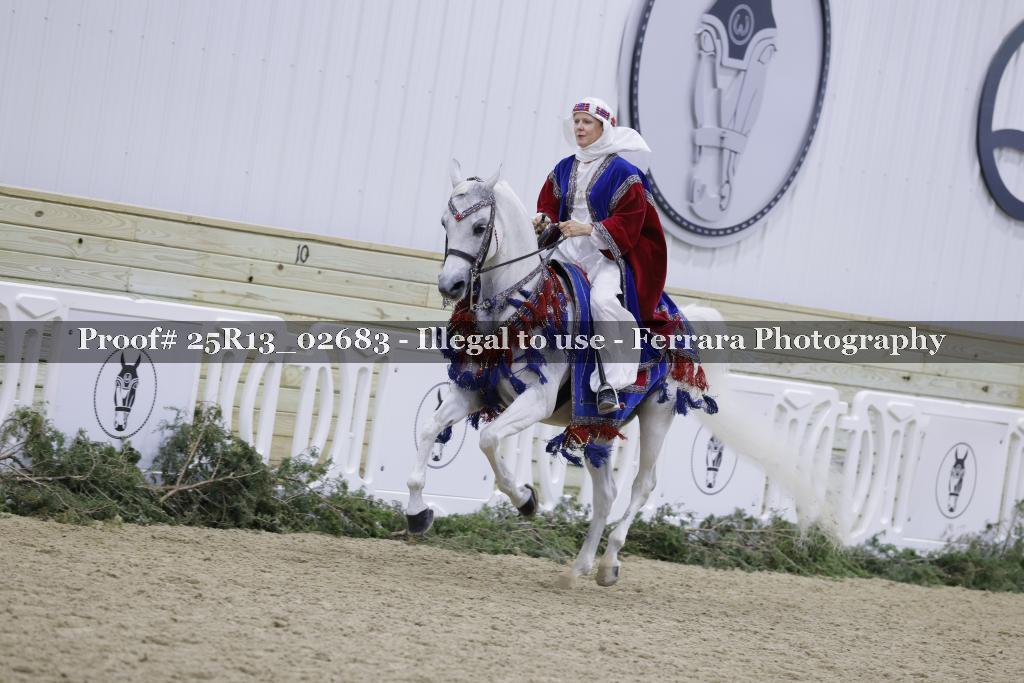 Proof 25R13_02683