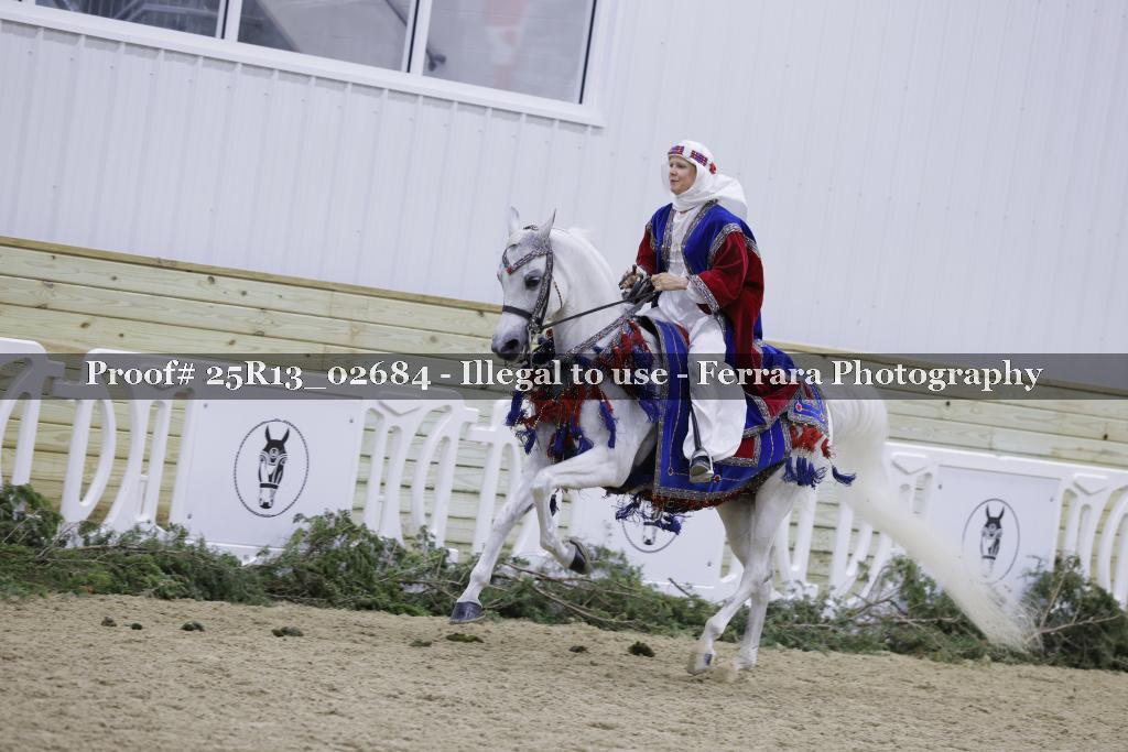 Proof 25R13_02684